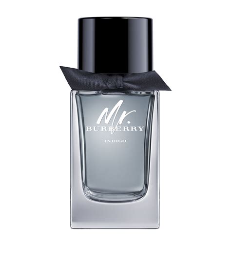 burberry mr burberry eau de toilette spray|mr Burberry indigo fragrantica.